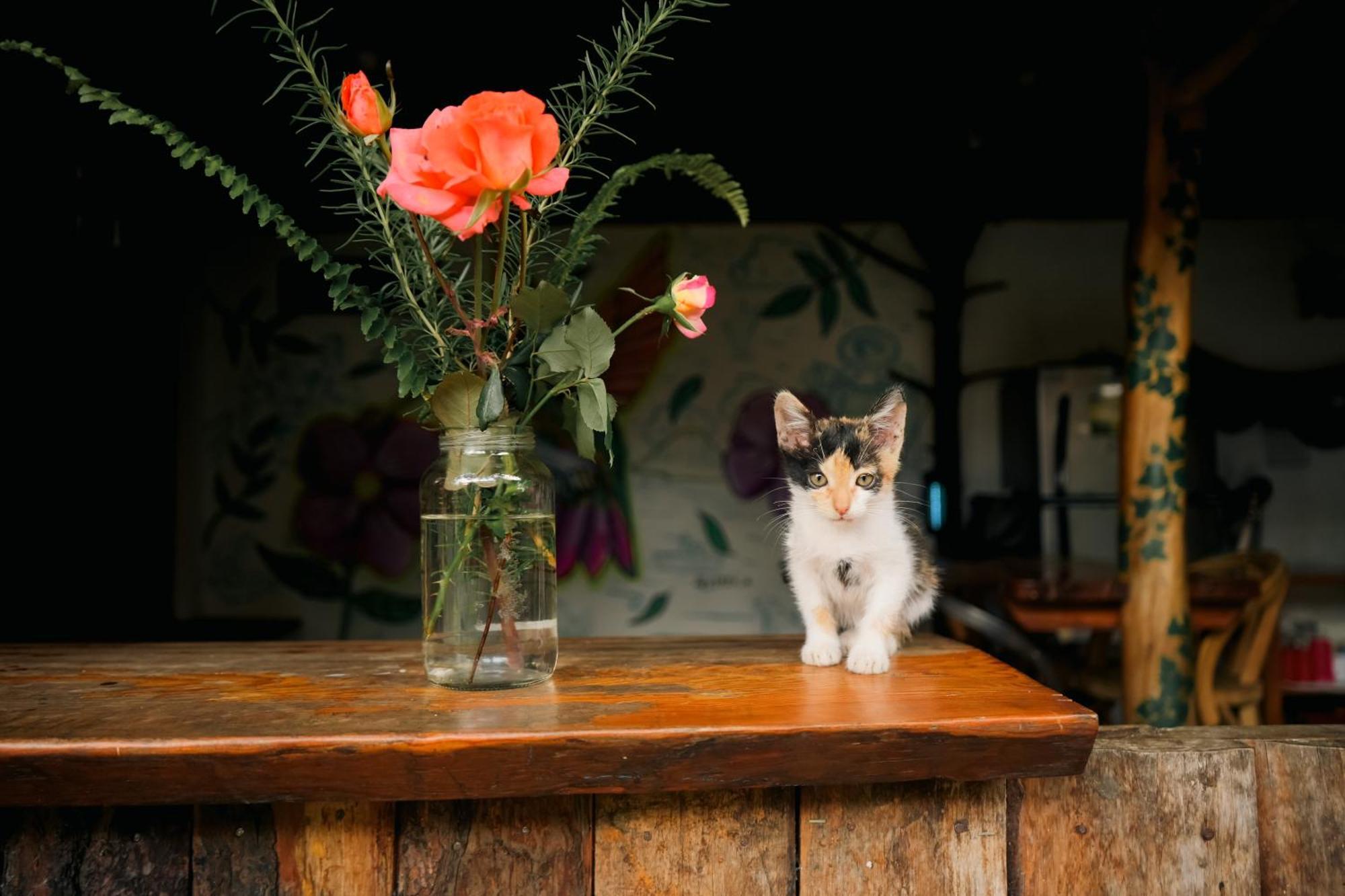 Casa Madera Hostel Сан Маркос Ла Лагуна Екстериор снимка